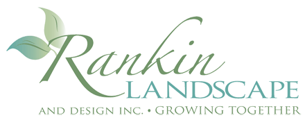 RLD Logo